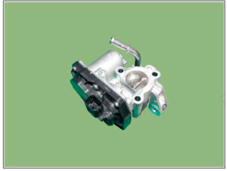 Electric Exhaust Gas Re-circulation (EEGR) Control Valve